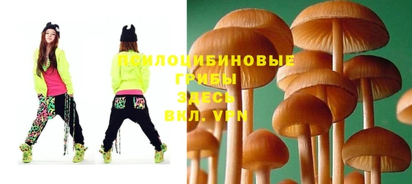 ешки Абинск