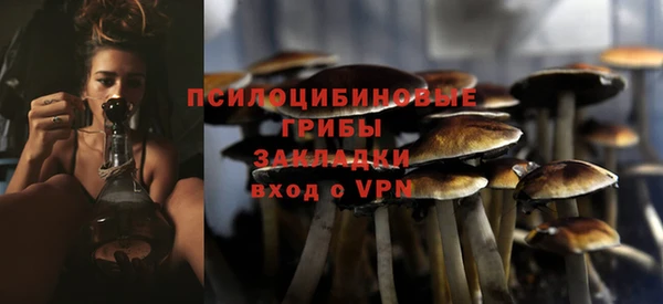 a pvp Абдулино