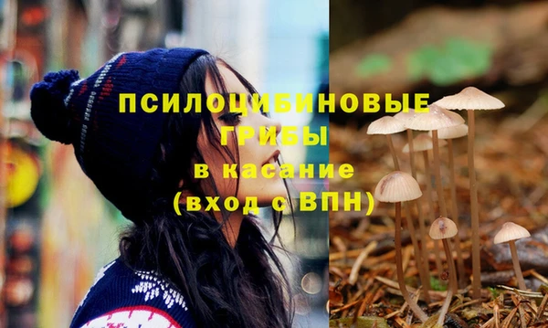 ешки Абинск