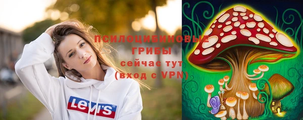 ешки Абинск