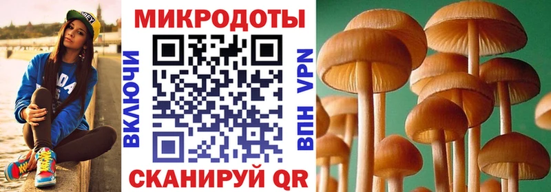 Псилоцибиновые грибы ЛСД  Энем 